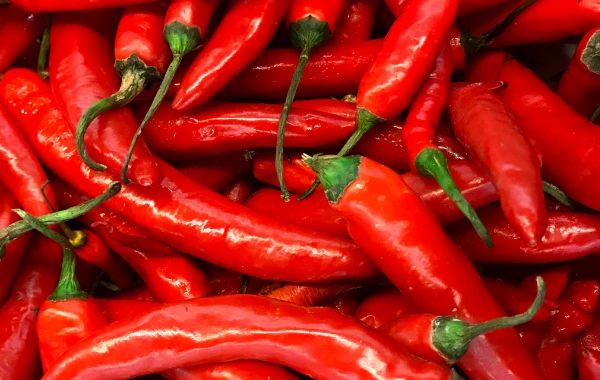 原材料の選別イメージ画像